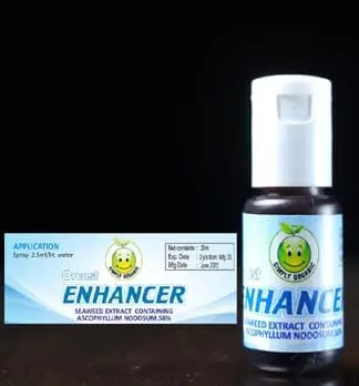 Enhancer