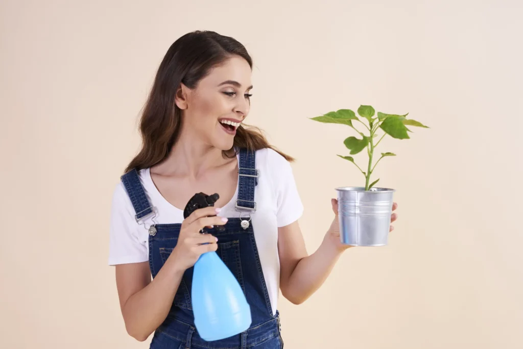 Best fertilizer for Indoor plant